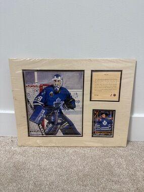 Toronto Maple Leafs Felix Potvin framed plaque and card
